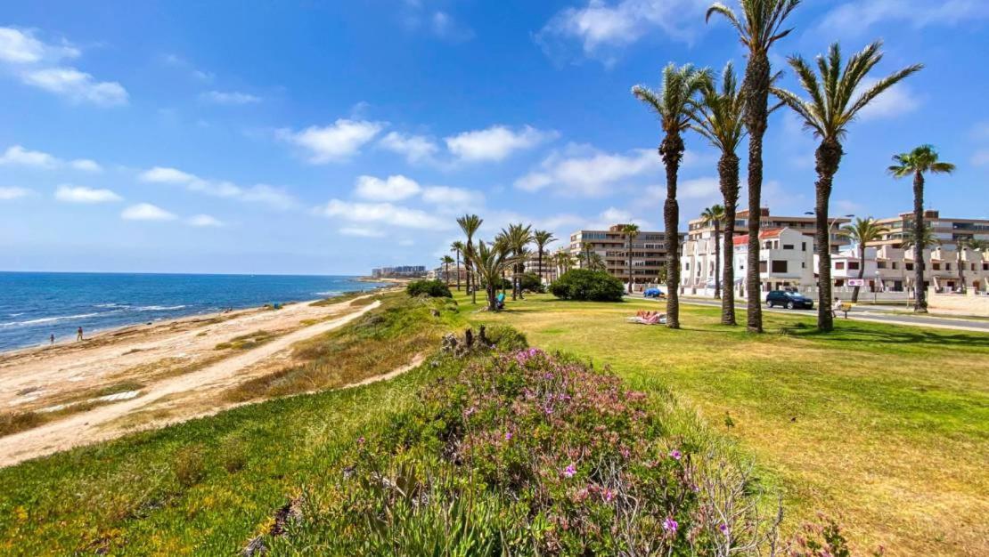 Apartamento Villa Amalia Torrevieja Bagian luar foto
