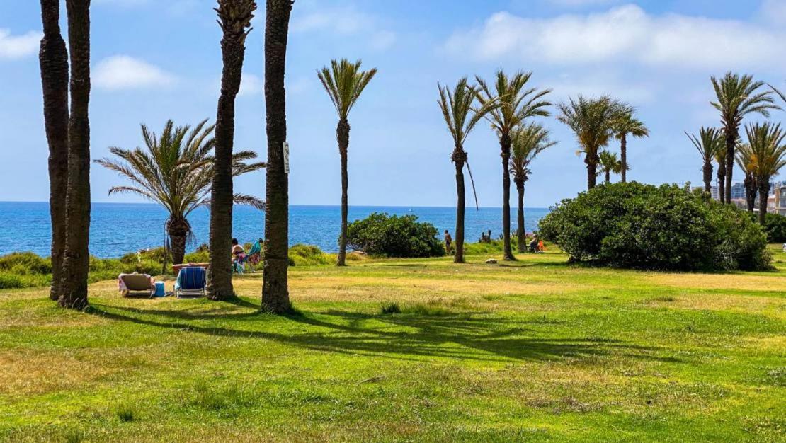 Apartamento Villa Amalia Torrevieja Bagian luar foto