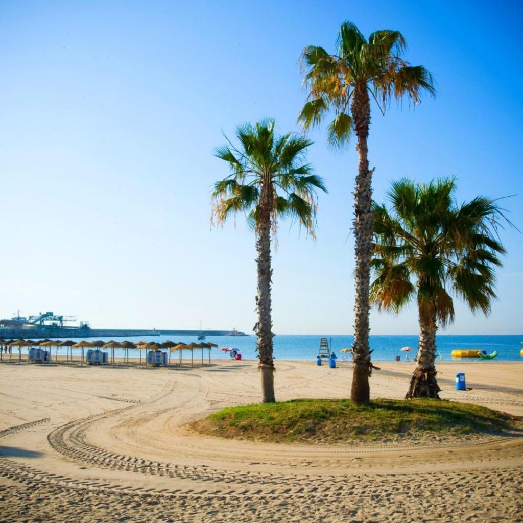 Apartamento Villa Amalia Torrevieja Bagian luar foto