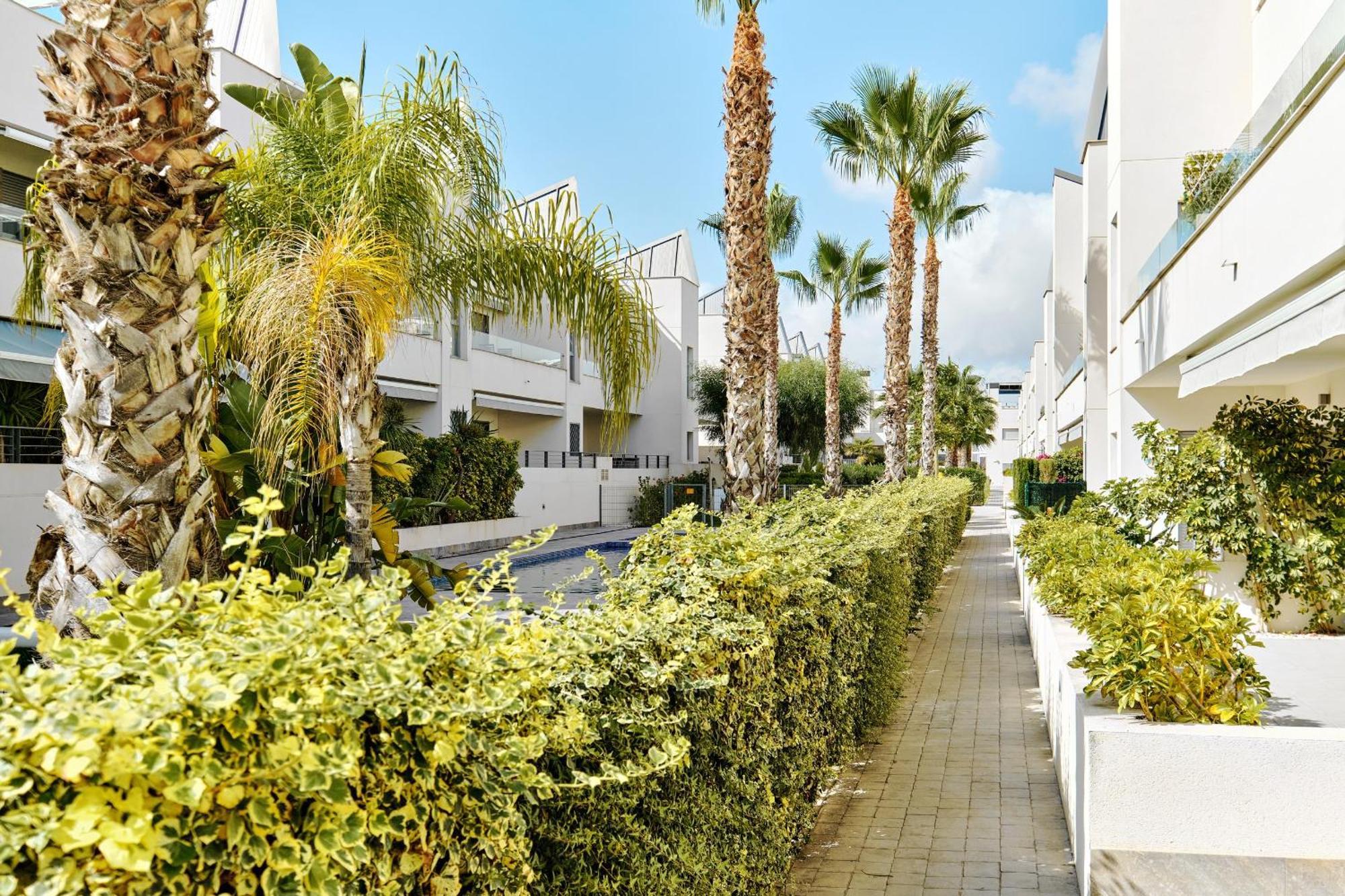 Apartamento Villa Amalia Torrevieja Bagian luar foto